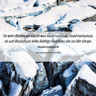 Picture 06 - Sharciga Kunoqoshadiisa 16:20 SOM - Oo wixii dhammaan xaq ah waa inaad raacdaan, - Bible Verse Picture