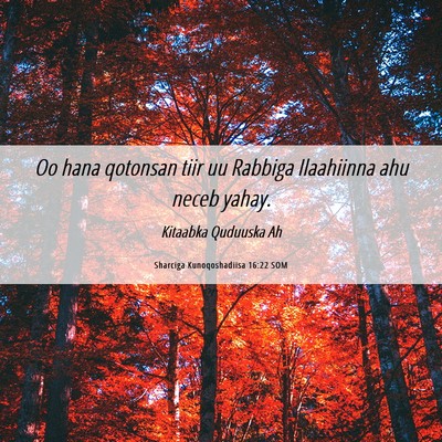 Picture 06 - Sharciga Kunoqoshadiisa 16:22 SOM - Oo hana qotonsan tiir uu Rabbiga Ilaahiinna ahu - Bible Verse Picture