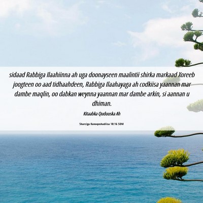 Picture 06 - Sharciga Kunoqoshadiisa 18:16 SOM - sidaad Rabbiga Ilaahiinna ah uga doonayseen - Bible Verse Picture