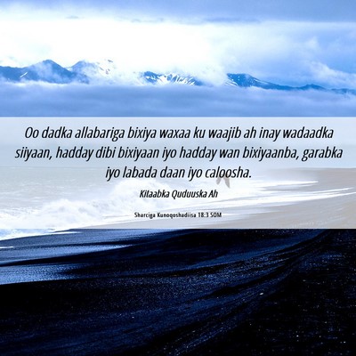 Picture 06 - Sharciga Kunoqoshadiisa 18:3 SOM - Oo dadka allabariga bixiya waxaa ku waajib ah - Bible Verse Picture