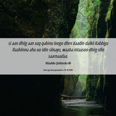 Picture 06 - Sharciga Kunoqoshadiisa 19:10 SOM - si aan dhiig aan xaq qabinu loogu dhex daadin - Bible Verse Picture