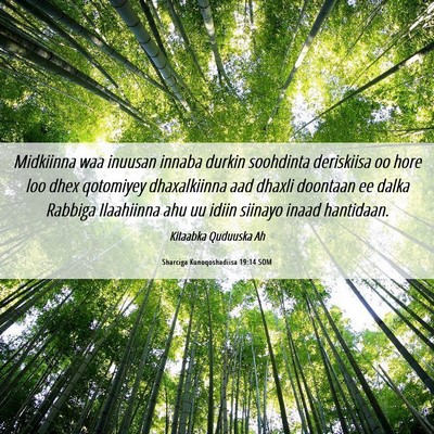 Picture 06 - Sharciga Kunoqoshadiisa 19:14 SOM - Midkiinna waa inuusan innaba durkin soohdinta - Bible Verse Picture