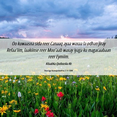 Picture 06 - Sharciga Kunoqoshadiisa 2:11 SOM - Oo kuwaasna sida reer Canaaq ayaa waxaa la odhan - Bible Verse Picture