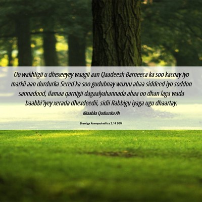 Picture 06 - Sharciga Kunoqoshadiisa 2:14 SOM - Oo wakhtigii u dhexeeyey waagii aan Qaadeesh - Bible Verse Picture