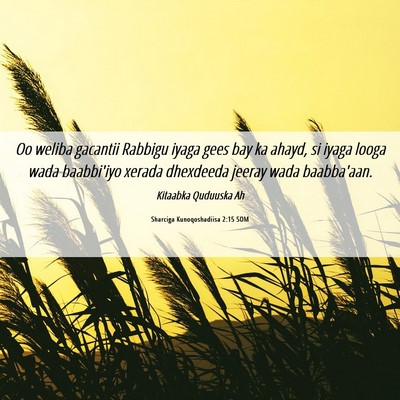 Picture 06 - Sharciga Kunoqoshadiisa 2:15 SOM - Oo weliba gacantii Rabbigu iyaga gees bay ka - Bible Verse Picture