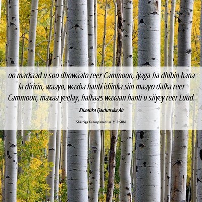 Picture 06 - Sharciga Kunoqoshadiisa 2:19 SOM - oo markaad u soo dhowaato reer Cammoon, iyaga ha - Bible Verse Picture