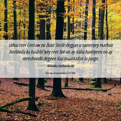 Picture 06 - Sharciga Kunoqoshadiisa 2:22 SOM - siduu reer Ceesaw oo Buur Seciir deggan u - Bible Verse Picture