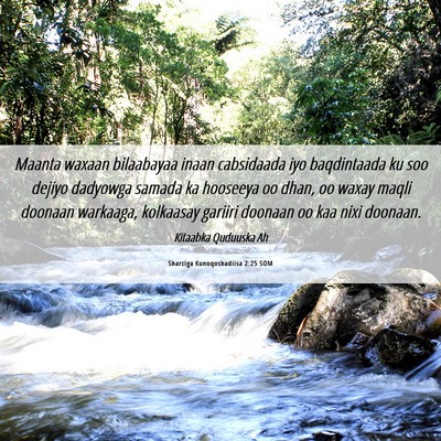 Picture 06 - Sharciga Kunoqoshadiisa 2:25 SOM - Maanta waxaan bilaabayaa inaan cabsidaada iyo - Bible Verse Picture
