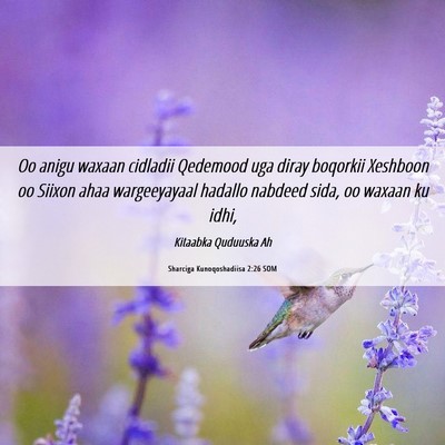 Picture 06 - Sharciga Kunoqoshadiisa 2:26 SOM - Oo anigu waxaan cidladii Qedemood uga diray - Bible Verse Picture