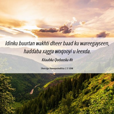Picture 06 - Sharciga Kunoqoshadiisa 2:3 SOM - Idinku buurtan wakhti dheer baad ku wareegayseen, - Bible Verse Picture
