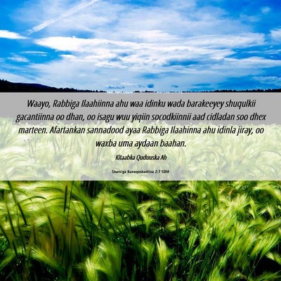 Picture 06 - Sharciga Kunoqoshadiisa 2:7 SOM - Waayo, Rabbiga Ilaahiinna ahu waa idinku wada - Bible Verse Picture