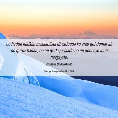 Picture 06 - Sharciga Kunoqoshadiisa 21:11 SOM - oo haddii midkiin maxaabiista dhexdooda ku arko - Bible Verse Picture