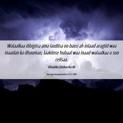 Picture 06 - Sharciga Kunoqoshadiisa 22:1 SOM - Walaalkaa dibigiisa ama laxdiisa oo baxsi ah - Bible Verse Picture