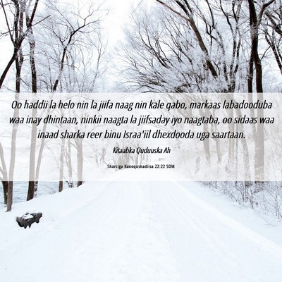 Picture 06 - Sharciga Kunoqoshadiisa 22:22 SOM - Oo haddii la helo nin la jiifa naag nin kale - Bible Verse Picture