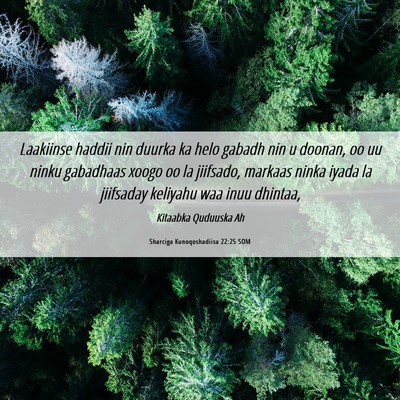 Picture 06 - Sharciga Kunoqoshadiisa 22:25 SOM - Laakiinse haddii nin duurka ka helo gabadh nin u - Bible Verse Picture