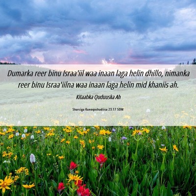 Picture 06 - Sharciga Kunoqoshadiisa 23:17 SOM - Dumarka reer binu Israa'iil waa inaan laga helin - Bible Verse Picture
