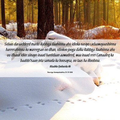 Picture 06 - Sharciga Kunoqoshadiisa 25:19 SOM - Sidaas daraaddeed markii Rabbiga Ilaahiinna ahu - Bible Verse Picture