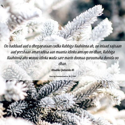 Picture 06 - Sharciga Kunoqoshadiisa 28:1 SOM - Oo haddaad aad u dhegaysataan codka Rabbiga - Bible Verse Picture