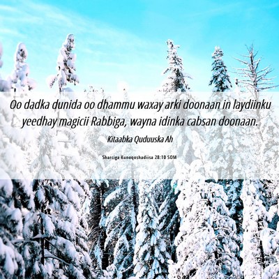 Picture 06 - Sharciga Kunoqoshadiisa 28:10 SOM - Oo dadka dunida oo dhammu waxay arki doonaan in - Bible Verse Picture
