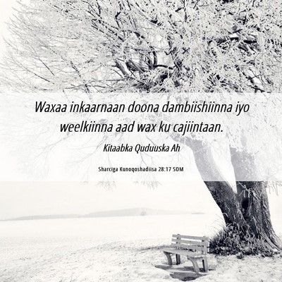 Picture 06 - Sharciga Kunoqoshadiisa 28:17 SOM - Waxaa inkaarnaan doona dambiishiinna iyo - Bible Verse Picture