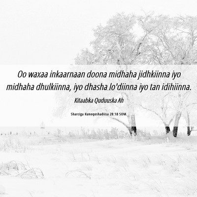 Picture 06 - Sharciga Kunoqoshadiisa 28:18 SOM - Oo waxaa inkaarnaan doona midhaha jidhkiinna iyo - Bible Verse Picture