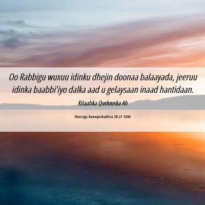 Picture 06 - Sharciga Kunoqoshadiisa 28:21 SOM - Oo Rabbigu wuxuu idinku dhejin doonaa balaayada, - Bible Verse Picture