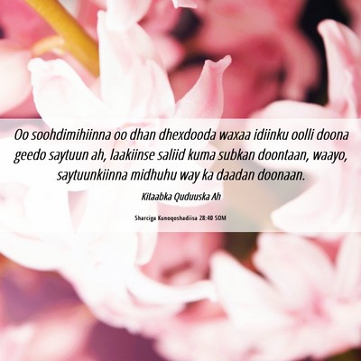 Picture 06 - Sharciga Kunoqoshadiisa 28:40 SOM - Oo soohdimihiinna oo dhan dhexdooda waxaa idiinku - Bible Verse Picture