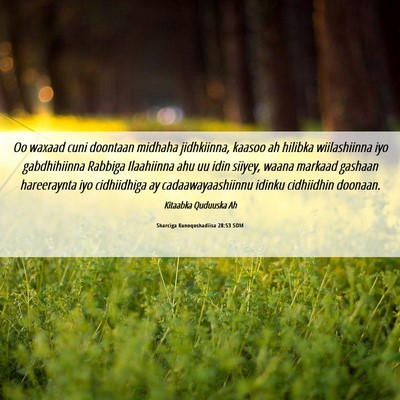 Picture 06 - Sharciga Kunoqoshadiisa 28:53 SOM - Oo waxaad cuni doontaan midhaha jidhkiinna, - Bible Verse Picture