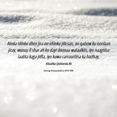 Picture 06 - Sharciga Kunoqoshadiisa 28:54 SOM - Ninka idinku dhex jira oo idiinku jilicsan, oo - Bible Verse Picture