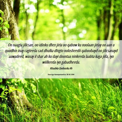 Picture 06 - Sharciga Kunoqoshadiisa 28:56 SOM - Oo naagta jilicsan, oo idinku dhex jirta oo qabow - Bible Verse Picture