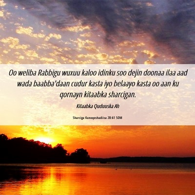 Picture 06 - Sharciga Kunoqoshadiisa 28:61 SOM - Oo weliba Rabbigu wuxuu kaloo idinku soo dejin - Bible Verse Picture