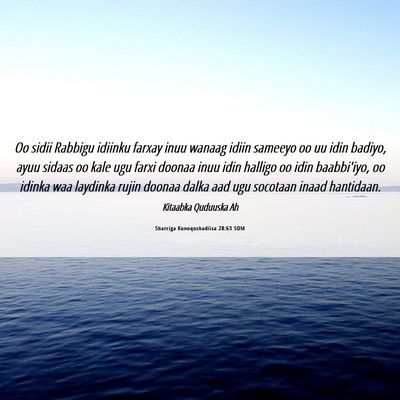 Picture 06 - Sharciga Kunoqoshadiisa 28:63 SOM - Oo sidii Rabbigu idiinku farxay inuu wanaag idiin - Bible Verse Picture