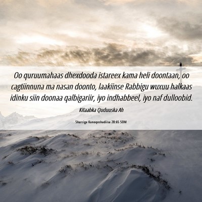 Picture 06 - Sharciga Kunoqoshadiisa 28:65 SOM - Oo quruumahaas dhexdooda istareex kama heli - Bible Verse Picture