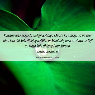 Picture 06 - Sharciga Kunoqoshadiisa 29:1 SOM - Kuwanu waa erayadii axdigii Rabbigu Muuse ku - Bible Verse Picture