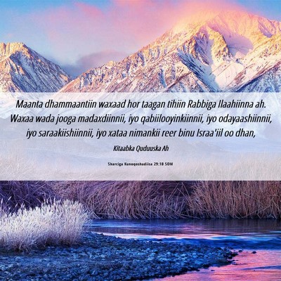 Picture 06 - Sharciga Kunoqoshadiisa 29:10 SOM - Maanta dhammaantiin waxaad hor taagan tihiin - Bible Verse Picture