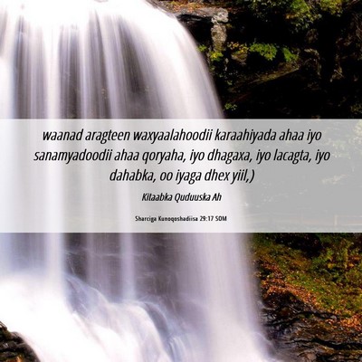Picture 06 - Sharciga Kunoqoshadiisa 29:17 SOM - waanad aragteen waxyaalahoodii karaahiyada ahaa - Bible Verse Picture