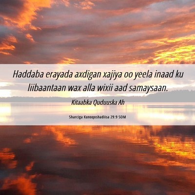 Picture 06 - Sharciga Kunoqoshadiisa 29:9 SOM - Haddaba erayada axdigan xajiya oo yeela inaad ku - Bible Verse Picture