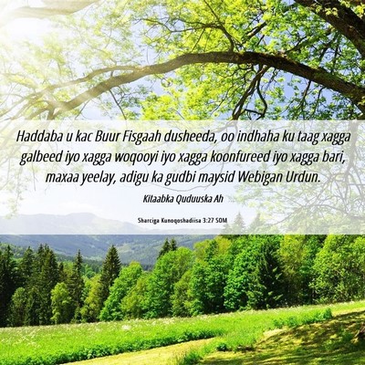 Picture 06 - Sharciga Kunoqoshadiisa 3:27 SOM - Haddaba u kac Buur Fisgaah dusheeda, oo indhaha - Bible Verse Picture
