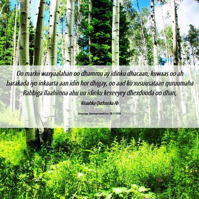Picture 06 - Sharciga Kunoqoshadiisa 30:1 SOM - Oo markii waxyaalahan oo dhammu ay idinku - Bible Verse Picture