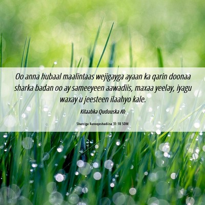 Picture 06 - Sharciga Kunoqoshadiisa 31:18 SOM - Oo anna hubaal maalintaas wejigayga ayaan ka - Bible Verse Picture