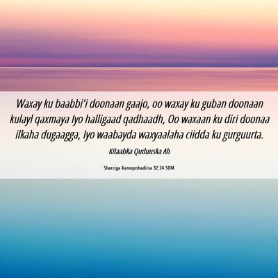 Picture 06 - Sharciga Kunoqoshadiisa 32:24 SOM - Waxay ku baabbi'i doonaan gaajo, oo waxay ku - Bible Verse Picture