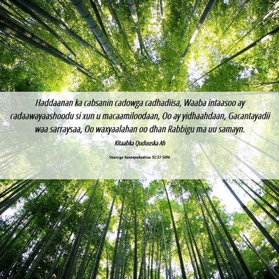 Picture 06 - Sharciga Kunoqoshadiisa 32:27 SOM - Haddaanan ka cabsanin cadowga cadhadiisa, Waaba - Bible Verse Picture