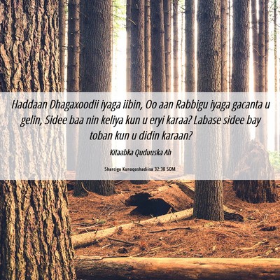 Picture 06 - Sharciga Kunoqoshadiisa 32:30 SOM - Haddaan Dhagaxoodii iyaga iibin, Oo aan Rabbigu - Bible Verse Picture