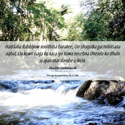 Picture 06 - Sharciga Kunoqoshadiisa 33:11 SOM - Haddaba Rabbiyow xoolihiisa barakee, Oo shuqulka - Bible Verse Picture