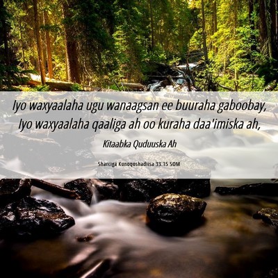 Picture 06 - Sharciga Kunoqoshadiisa 33:15 SOM - Iyo waxyaalaha ugu wanaagsan ee buuraha gaboobay, - Bible Verse Picture