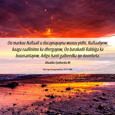 Picture 06 - Sharciga Kunoqoshadiisa 33:23 SOM - Oo markuu Naftaali u ducaynayayna wuxuu yidhi, - Bible Verse Picture