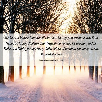 Picture 06 - Sharciga Kunoqoshadiisa 34:1 SOM - Markaasaa Muuse bannaankii Moo'aab ka tegey oo - Bible Verse Picture