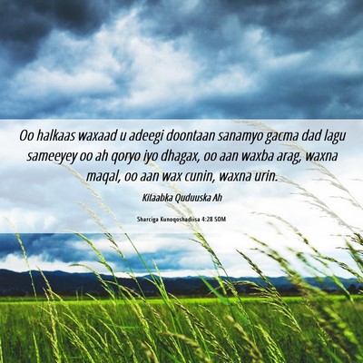 Picture 06 - Sharciga Kunoqoshadiisa 4:28 SOM - Oo halkaas waxaad u adeegi doontaan sanamyo gacma - Bible Verse Picture