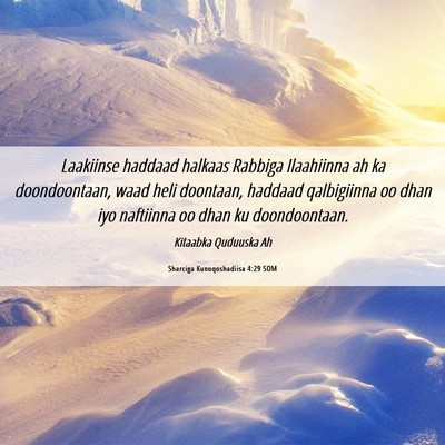Picture 06 - Sharciga Kunoqoshadiisa 4:29 SOM - Laakiinse haddaad halkaas Rabbiga Ilaahiinna ah - Bible Verse Picture
