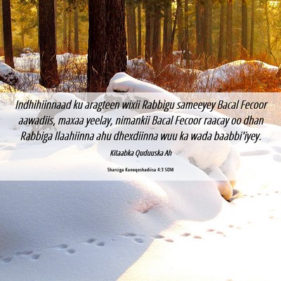 Picture 06 - Sharciga Kunoqoshadiisa 4:3 SOM - Indhihiinnaad ku aragteen wixii Rabbigu sameeyey - Bible Verse Picture